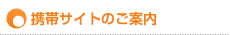 �g�уT�C�g�̂��ē�